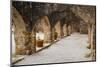 Archway at Mission San Jose-Larry Ditto-Mounted Photographic Print