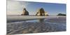 Archway Islands, Wharariki Beach, Tasman, South Island, New Zealand-Rainer Mirau-Mounted Photographic Print