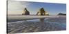 Archway Islands, Wharariki Beach, Tasman, South Island, New Zealand-Rainer Mirau-Stretched Canvas