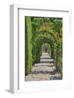 Archway of trees in the gardens of the Alhambra, Granada, Spain.-Julie Eggers-Framed Photographic Print