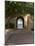 Archway to Pool at Tierra del Sol Golf Club and Spa, Aruba, Caribbean-Lisa S^ Engelbrecht-Mounted Photographic Print