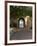 Archway to Pool at Tierra del Sol Golf Club and Spa, Aruba, Caribbean-Lisa S^ Engelbrecht-Framed Photographic Print