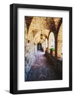 Archways Of A Tuscan Castle In Napa Valley-George Oze-Framed Photographic Print