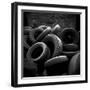 Archwright-Craig Roberts-Framed Photographic Print