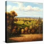 Birch Walk with Verse-Arcobaleno-Stretched Canvas