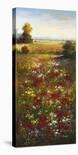 Wildflower Meadow II-Arcobaleno-Stretched Canvas