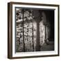 Arcos - bronce-Teo Tarras-Framed Giclee Print