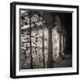 Arcos - bronce-Teo Tarras-Framed Giclee Print