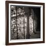 Arcos - bronce-Teo Tarras-Framed Giclee Print