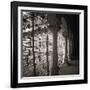 Arcos - bronce-Teo Tarras-Framed Giclee Print