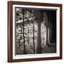 Arcos - bronce-Teo Tarras-Framed Giclee Print