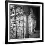 Arcos-Teo Tarras-Framed Giclee Print