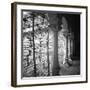 Arcos-Teo Tarras-Framed Giclee Print