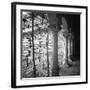 Arcos-Teo Tarras-Framed Giclee Print