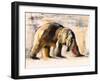 Arctic, 1999-Mark Adlington-Framed Giclee Print