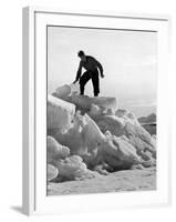 Arctic Bear Hunter-null-Framed Photographic Print