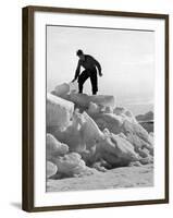 Arctic Bear Hunter-null-Framed Photographic Print