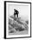 Arctic Bear Hunter-null-Framed Photographic Print