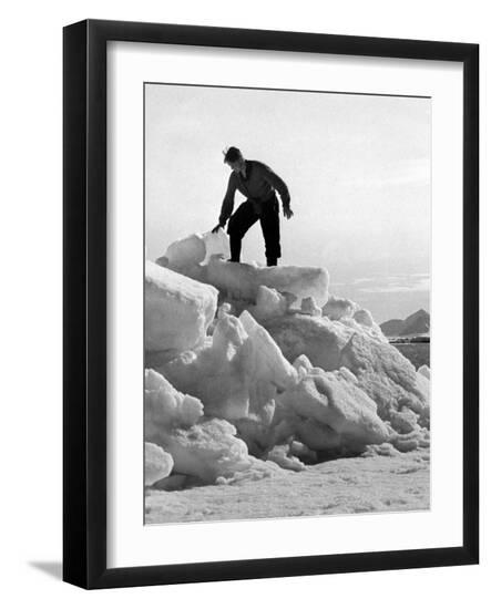 Premium Photographic Print, , large