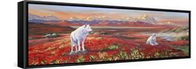 Arctic Bond-Graeme Stevenson-Framed Stretched Canvas