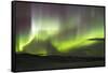 Arctic Circle, Lapland, Scandinavia, Sweden, Abisko National Park-Christian Kober-Framed Stretched Canvas