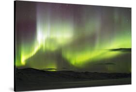 Arctic Circle, Lapland, Scandinavia, Sweden, Abisko National Park-Christian Kober-Stretched Canvas