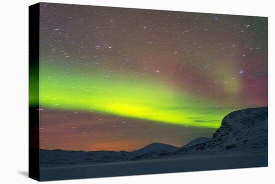 Arctic Circle, Lapland, Scandinavia, Sweden, Abisko National Park-Christian Kober-Stretched Canvas