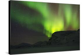 Arctic Circle, Lapland, Scandinavia, Sweden, Abisko National Park-Christian Kober-Stretched Canvas