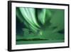 Arctic Circle, Lapland, Scandinavia, Sweden, Abisko National Park-Christian Kober-Framed Photographic Print