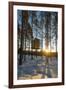 Arctic Circle, Lapland, Scandinavia, Sweden, the Tree Hotel, the Mirror Cube Room-Christian Kober-Framed Photographic Print