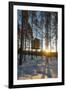 Arctic Circle, Lapland, Scandinavia, Sweden, the Tree Hotel, the Mirror Cube Room-Christian Kober-Framed Photographic Print