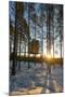 Arctic Circle, Lapland, Scandinavia, Sweden, the Tree Hotel, the Mirror Cube Room-Christian Kober-Mounted Photographic Print