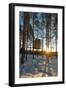 Arctic Circle, Lapland, Scandinavia, Sweden, the Tree Hotel, the Mirror Cube Room-Christian Kober-Framed Photographic Print