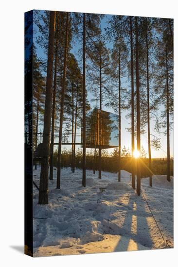 Arctic Circle, Lapland, Scandinavia, Sweden, the Tree Hotel, the Mirror Cube Room-Christian Kober-Stretched Canvas