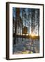 Arctic Circle, Lapland, Scandinavia, Sweden, the Tree Hotel, the Mirror Cube Room-Christian Kober-Framed Photographic Print