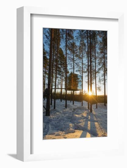 Arctic Circle, Lapland, Scandinavia, Sweden, the Tree Hotel, the Mirror Cube Room-Christian Kober-Framed Photographic Print