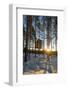 Arctic Circle, Lapland, Scandinavia, Sweden, the Tree Hotel, the Mirror Cube Room-Christian Kober-Framed Photographic Print