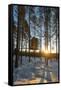 Arctic Circle, Lapland, Scandinavia, Sweden, the Tree Hotel, the Mirror Cube Room-Christian Kober-Framed Stretched Canvas