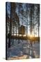 Arctic Circle, Lapland, Scandinavia, Sweden, the Tree Hotel, the Mirror Cube Room-Christian Kober-Stretched Canvas