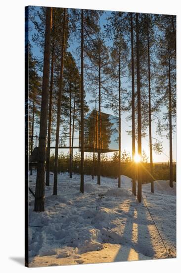 Arctic Circle, Lapland, Scandinavia, Sweden, the Tree Hotel, the Mirror Cube Room-Christian Kober-Stretched Canvas