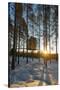 Arctic Circle, Lapland, Scandinavia, Sweden, the Tree Hotel, the Mirror Cube Room-Christian Kober-Stretched Canvas