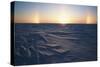 Arctic Coastal Plain, Sundog over Snowy Landscape, Alaska, USA-Hugh Rose-Stretched Canvas