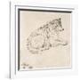 Arctic Dog, Facing Right (Pencil on Paper)-James Ward-Framed Giclee Print