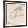 Arctic Dog, Facing Right (Pencil on Paper)-James Ward-Framed Giclee Print