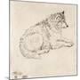 Arctic Dog, Facing Right (Pencil on Paper)-James Ward-Mounted Giclee Print