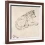 Arctic Dog, Facing Right (Pencil on Paper)-James Ward-Framed Giclee Print