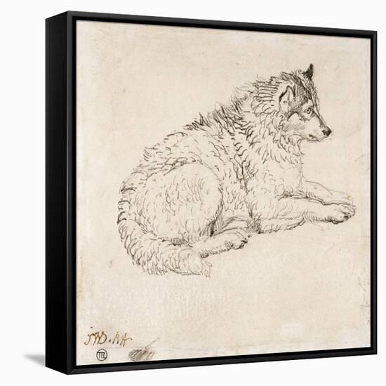 Arctic Dog, Facing Right (Pencil on Paper)-James Ward-Framed Stretched Canvas