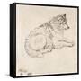 Arctic Dog, Facing Right (Pencil on Paper)-James Ward-Framed Stretched Canvas