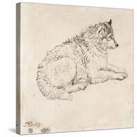 Arctic Dog, Facing Right (Pencil on Paper)-James Ward-Stretched Canvas