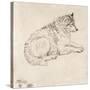 Arctic Dog, Facing Right (Pencil on Paper)-James Ward-Stretched Canvas